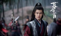 任嘉伦电视剧大全,从古装侠客到现代英雄，多面角色魅力无限