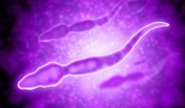 巨大精子电影在线观看,一场跨越时空的精子冒险之旅