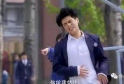 凉夏是什么电视剧,青春校园爱情的温暖旋律