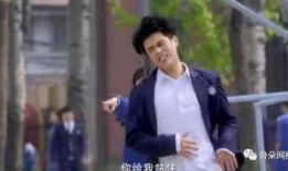 凉夏是什么电视剧,青春校园爱情的温暖旋律