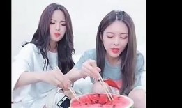 圈内爆料傅菁的小说,圈内爆料背后的小说世界