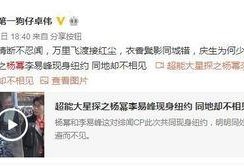 卓伟爆料杨幂最新,卓伟独家爆料揭秘！