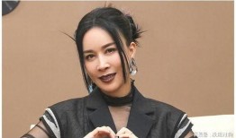 那英演的电视剧,歌声与情感的交织