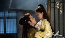 孤芳不自赏电视剧,宫廷权谋与爱情纠葛的华丽演绎