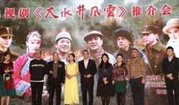 大水井风云 电视剧,乱世中的家族传奇