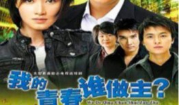 2010的所有电视剧,年度荧屏盛宴