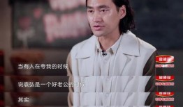 袁弘老婆爆料视频,揭秘明星夫妻背后的真实生活