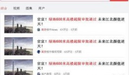 武汉名人网络爆料视频,揭秘城市传奇背后的故事