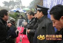 公安厅长20集电视剧,破案风云录