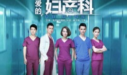 韩国妇产科电视剧,韩国妇产科剧情感之旅