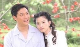 木棉花的春天电视剧,电视剧木棉花的春天温情回顾