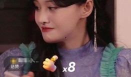 明星 网红助理,揭秘助理的幕后故事