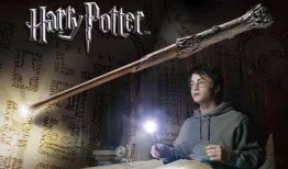 哈利9月爆料魔杖视频,探寻魔法世界的秘密力量
