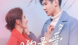 大约是爱电视剧,甜蜜爱情与成长之旅的交织