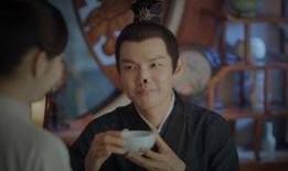 总裁系列电视剧,权谋与爱情的巅峰对决