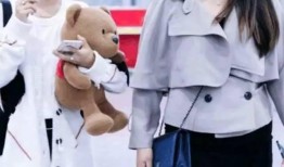 明星 网红助理,揭秘助理的幕后故事