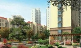 金商花园爆料视频大全,揭秘花园里的秘密与故事