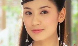 贾静雯主演电视剧,穿越时空的爱恋