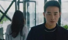 电视剧归去来大结局,命运交织，终章揭秘，爱恨情仇终成空