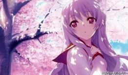 樱花漫画网站,探索日本动漫文化的魅力之旅