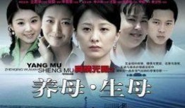 养母电视剧,温情岁月里的爱与救赎