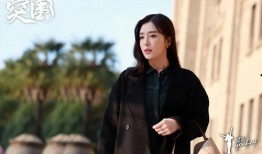 电视剧秦岚,宫廷风云中的绝代佳人