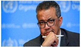 特朗普爆料谭德赛视频播放,特朗普曝光谭德赛视频引发舆论风暴