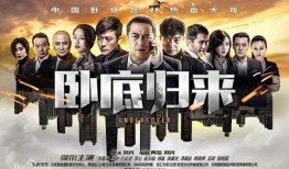 警察破案电视剧,揭秘警察破案背后的惊心动魄