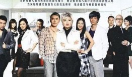 2010的所有电视剧,年度荧屏盛宴