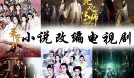 小说改编电视剧,穿越时空的浪漫邂逅