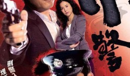 2010的所有电视剧,年度荧屏盛宴