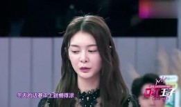 圈内爆料傅菁的小说,圈内爆料背后的小说世界