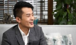 王海辛巴最新爆料,揭秘行业黑幕，揭开真相面纱