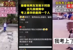 云南网红事件爆料视频大全,揭秘爆料视频背后的真相与争议