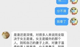 晋江吃瓜小说免费,揭秘网络文学圈的那些事儿