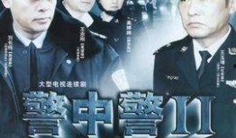 警中警电视剧,铁血忠诚，守护正义的守护者