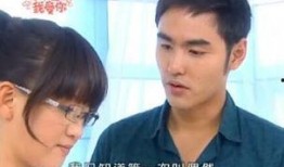 学生的电视剧,梦想与现实的交织