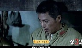 勋章电视剧全集,荣耀与牺牲的传奇