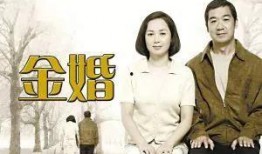 金婚电视剧全集免费观看,重温经典爱情故事，共度甜蜜金婚时光