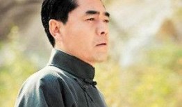 陈宝国电视剧,电视剧中的传奇人生