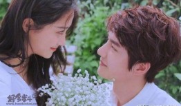 在线电视剧,揭秘热门在线电视剧背后的故事