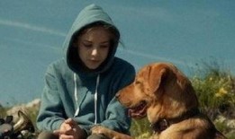 狼狗电影在线观看,在线观看，尽享狂野激情