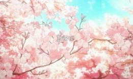 樱花漫画网站,探索日本动漫文化的魅力之旅