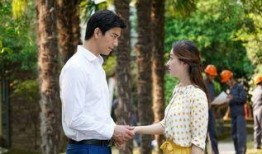 风光大嫁电视剧,爱情与梦想的华丽交响曲