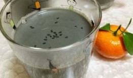 黑豆芝麻豆浆图片,营养早餐新选择
