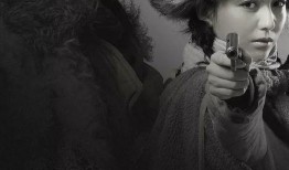 爱国者电视剧演员表,实力派明星齐聚一堂，共筑家国情怀