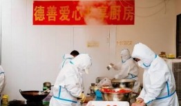 抗癌厨房爆料视频下载,视频爆料背后的感人故事