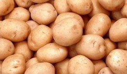 恋仲在线观看 土豆,土豆平台独家呈现浪漫青春校园剧