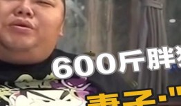 网红胖猴仔媳妇爆料视频,揭秘背后惊人真相