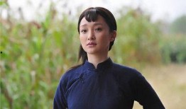 《红高粱》电视剧,烽火岁月里的爱情与抗争